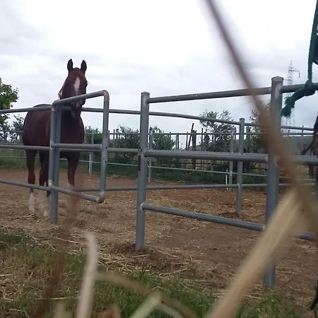 Centro Ippico Iannibelli Appartement Frascineto