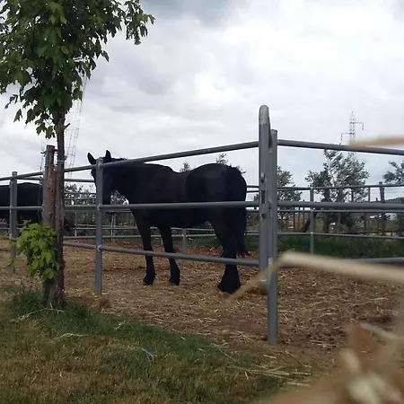 Centro Ippico Iannibelli Appartement Frascineto