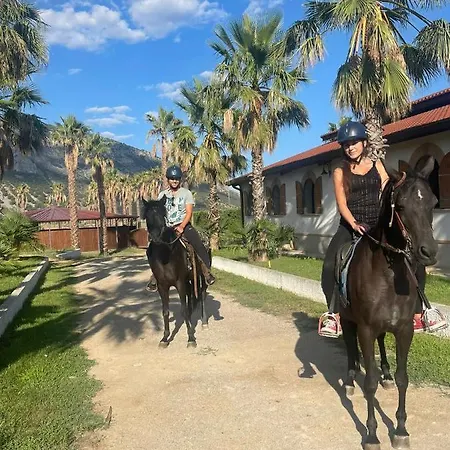 Centro Ippico Iannibelli * Frascineto