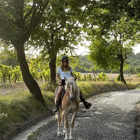 Centro Ippico Iannibelli * Frascineto