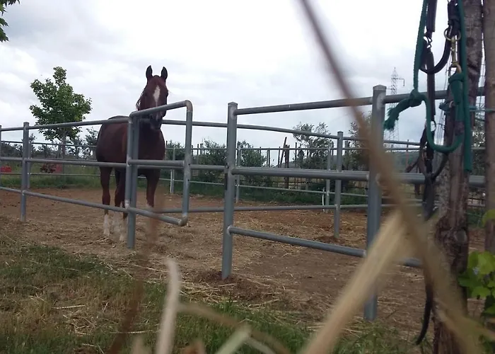 Centro Ippico Iannibelli Lägenhet Frascineto