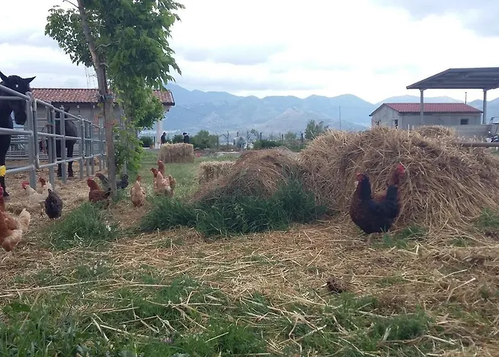 Lägenhet Centro Ippico Iannibelli *