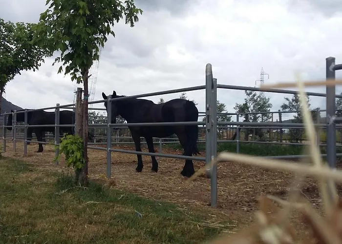 Centro Ippico Iannibelli Apartamento Frascineto