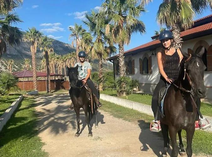 Centro Ippico Iannibelli * Frascineto